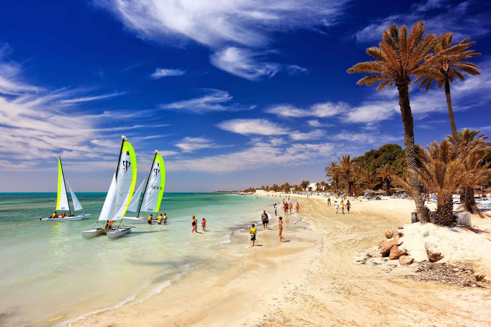Beach on the island of Djerba